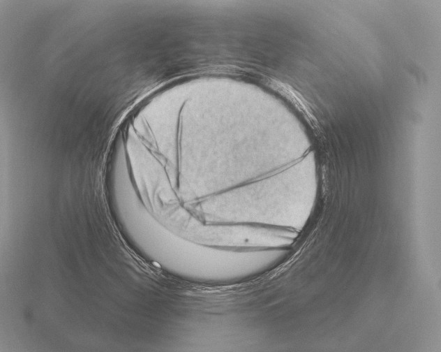 X0000115381260200912151432