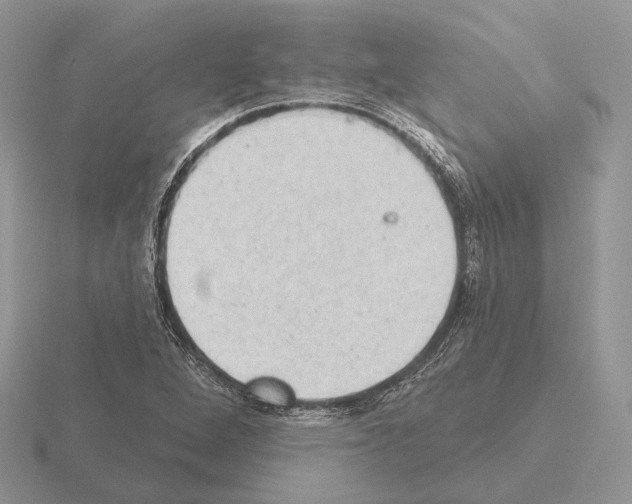 X0000115381264200912151432