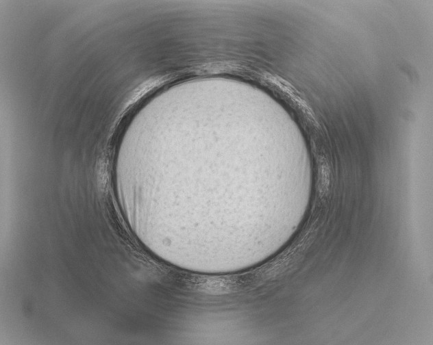 X0000115381266200912151432