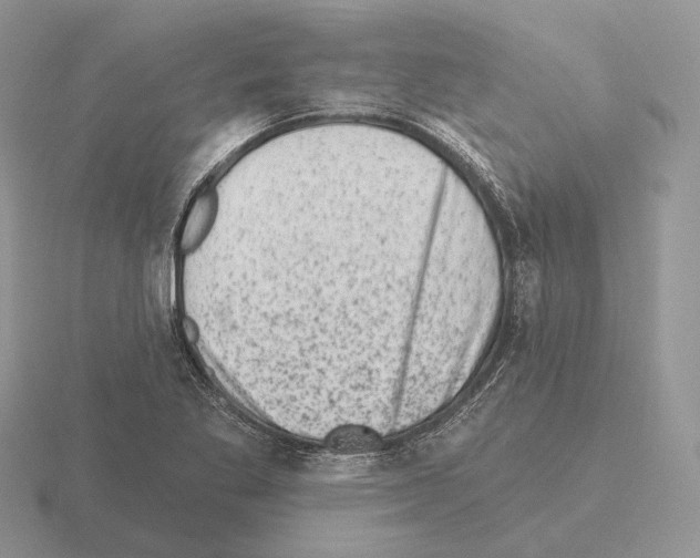 X0000115381269200912151432