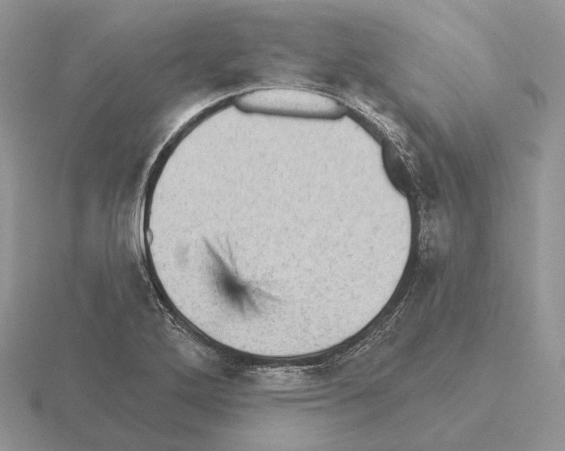 X0000115381272200912151432