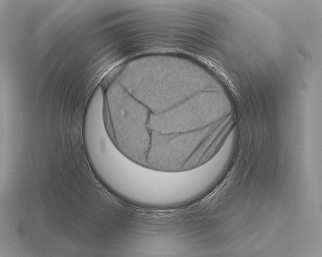 X0000115381273200912151432