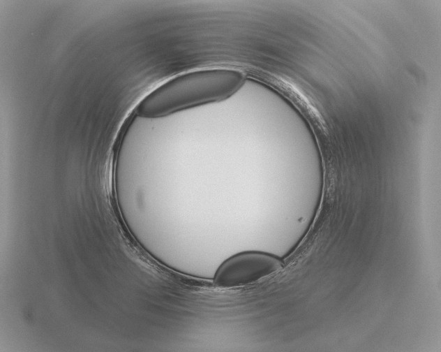 X0000115381276200912151432