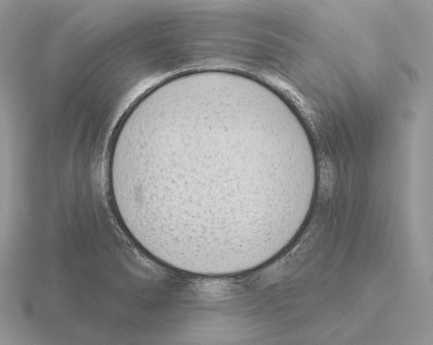 X0000115381278200912151432