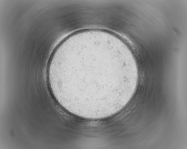 X0000115381279200912151432