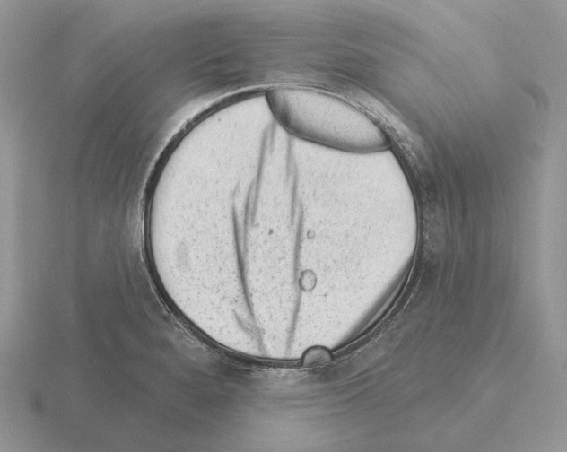 X0000115381280200912151432