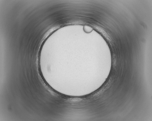 X0000115381282200912151432