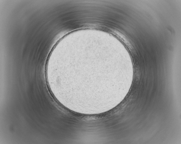 X0000115381283200912151432