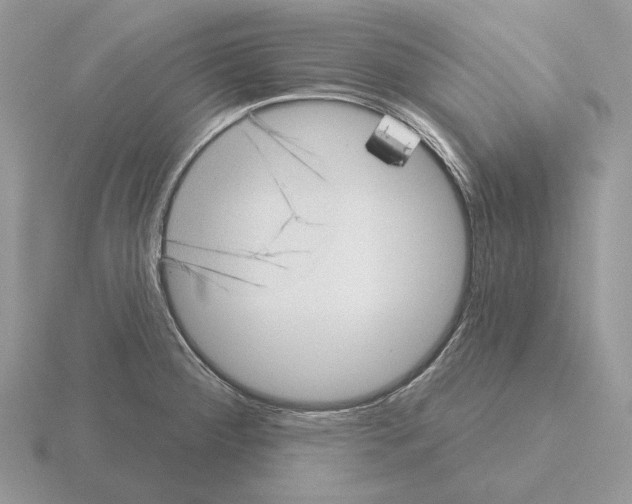 X0000115381284200912151432