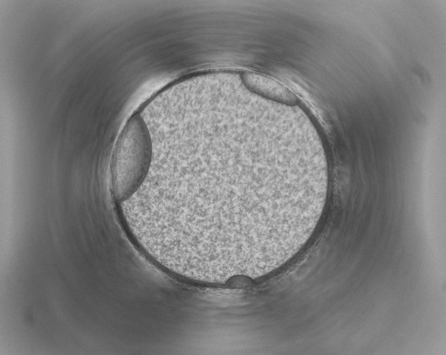 X0000115381285200912151432