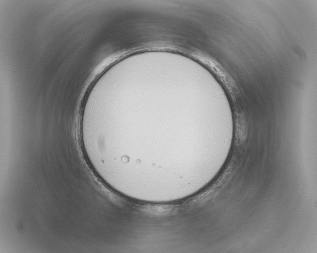 X0000115381286200912151432