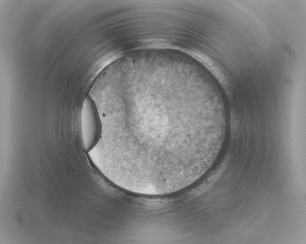 X0000115381289200912151431