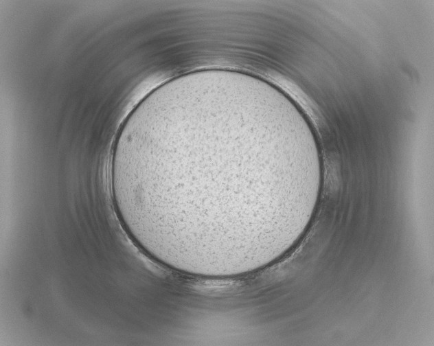 X0000115381290200912151431