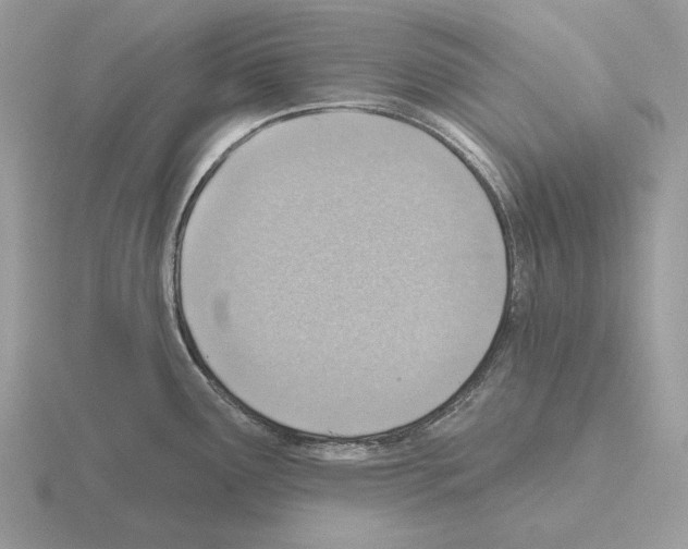 X0000115381291200912151431