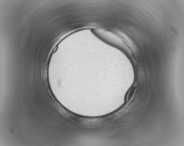 X0000115381292200912151431