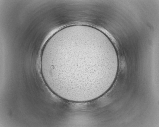 X0000115381294200912151431