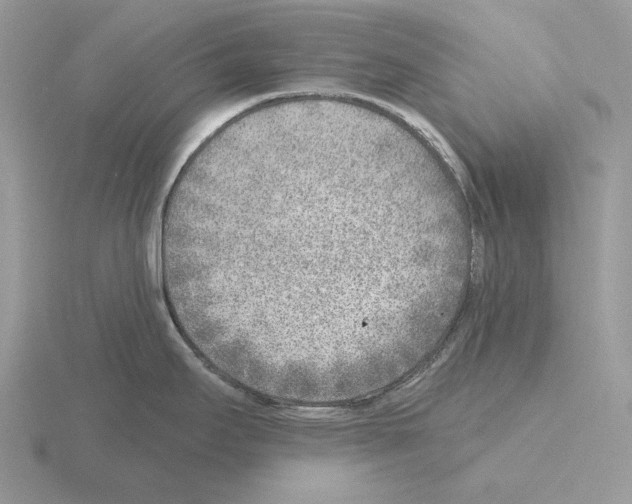 X0000115381295200912151431