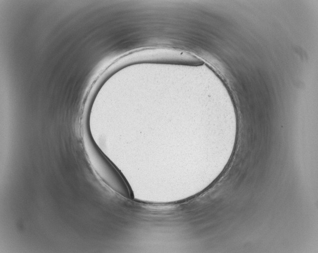 X0000115381296200912151431