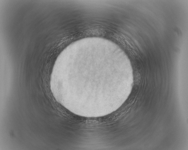 X0000115381297200912151431