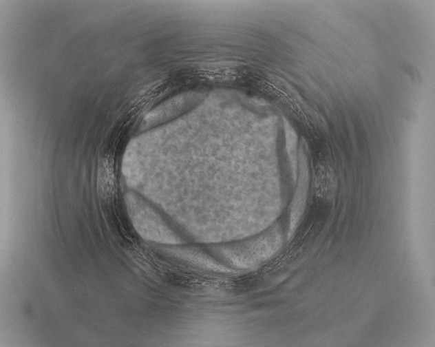 X0000115381298200912151431