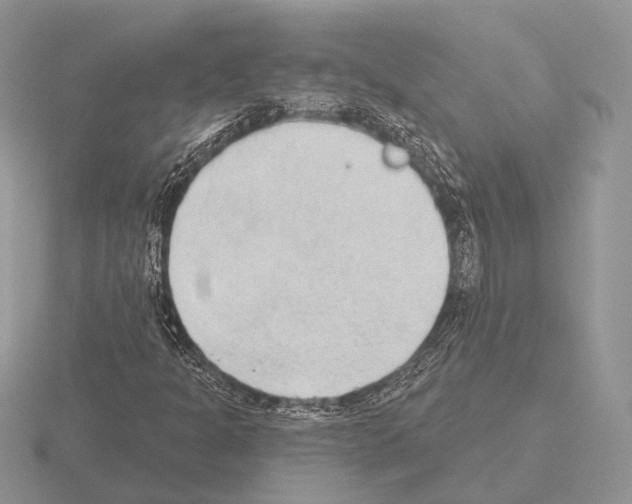 X0000115381301200912151431