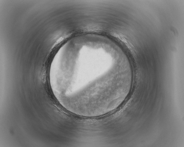 X0000115381306200912151431