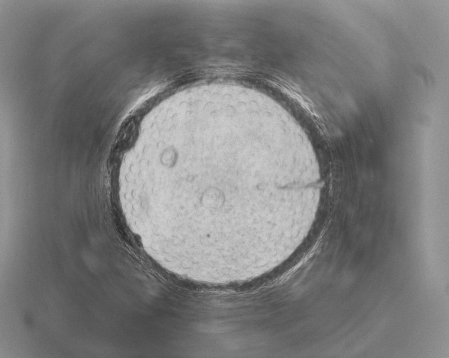 X0000115381309200912151431