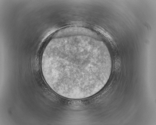 X0000115381310200912151431