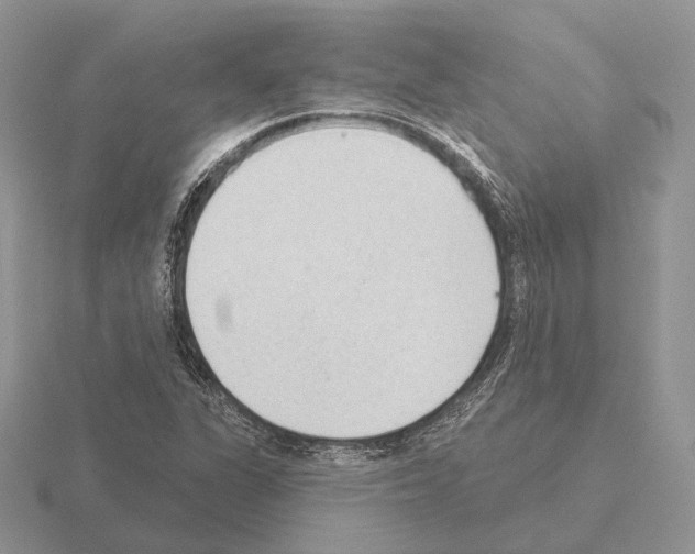 X0000115381311200912151431