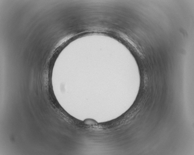 X0000115381315200912151431