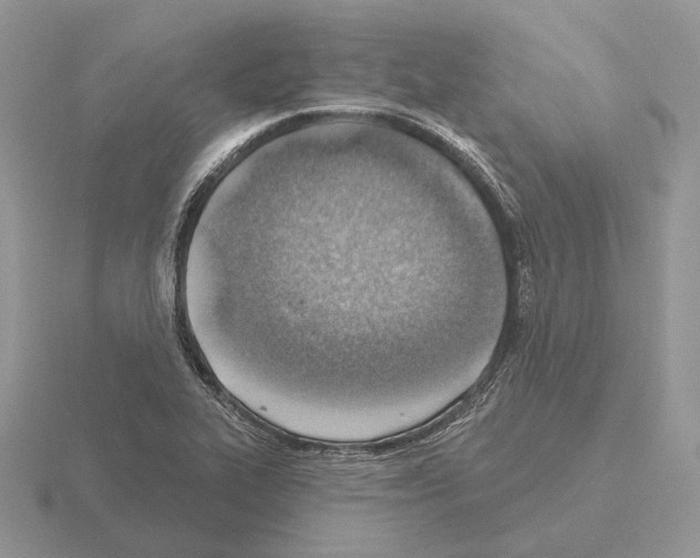 X0000115381319200912151431