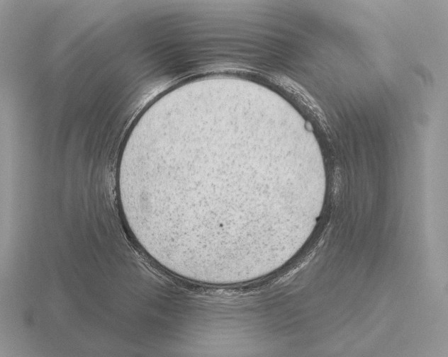 X0000115381321200912151431