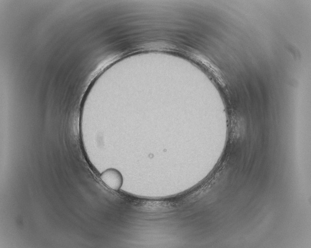 X0000115381322200912151431