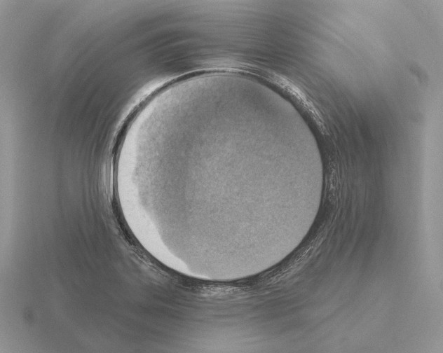 X0000115381323200912151431