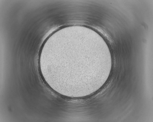 X0000115381325200912151431