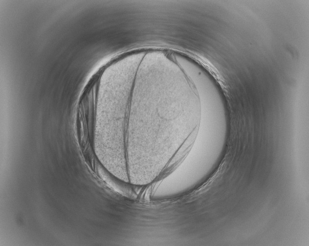 X0000115381326200912151431