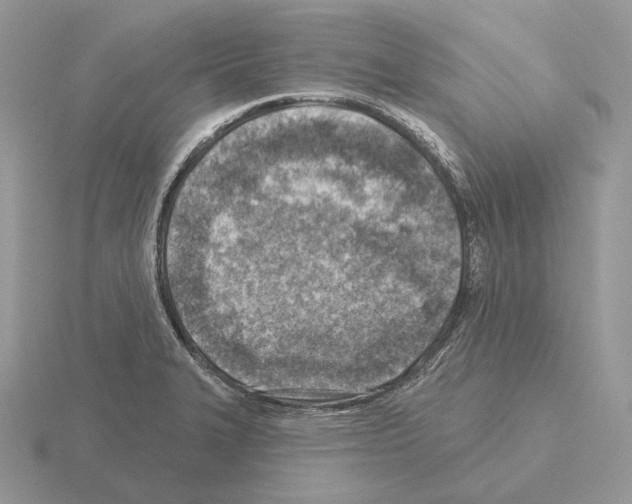 X0000115381327200912151431