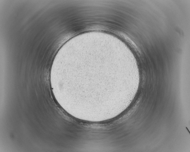 X0000115381329200912151431