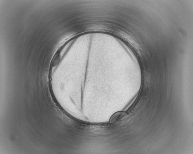 X0000115381330200912151431