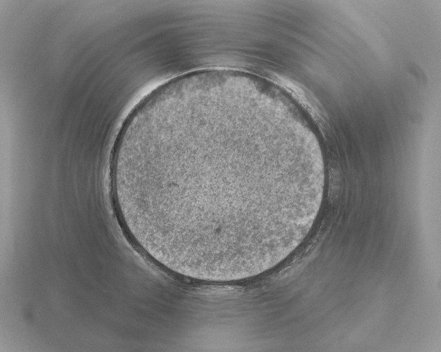 X0000115381331200912151431