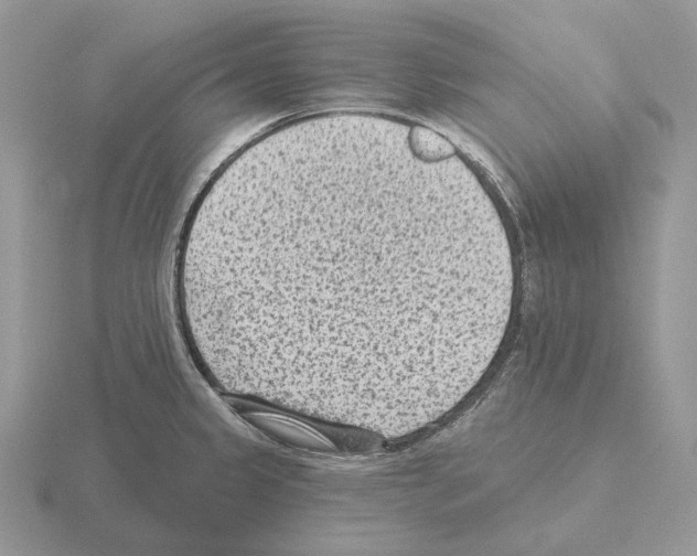 X0000115381333200912151431