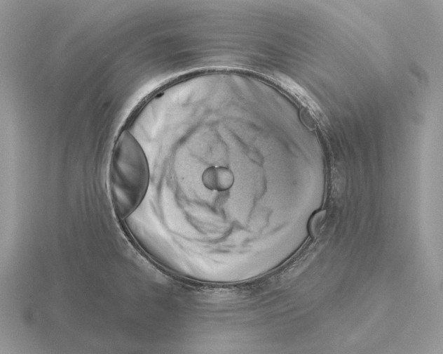 X0000115381334200912151431