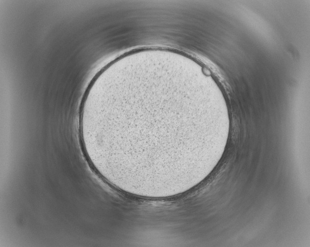 X0000115381335200912151431