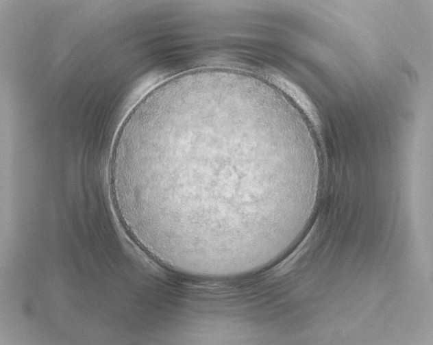 X0000115381338200912151431