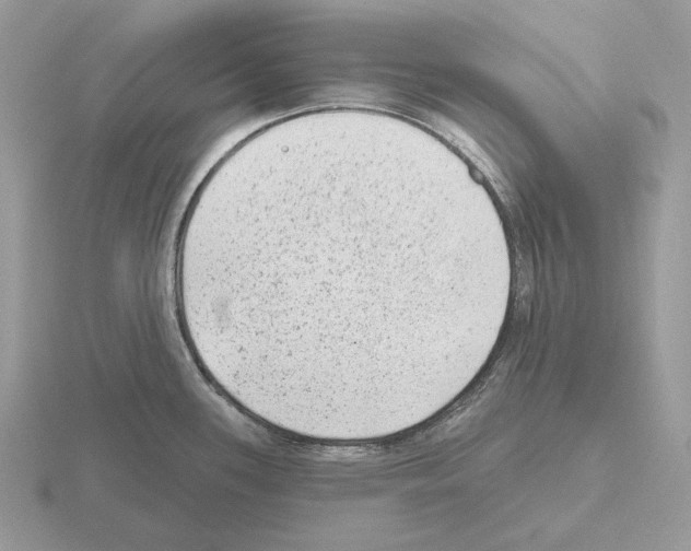 X0000115381339200912151431