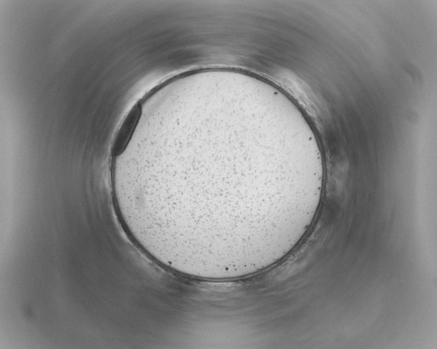 X0000115381342200912151431