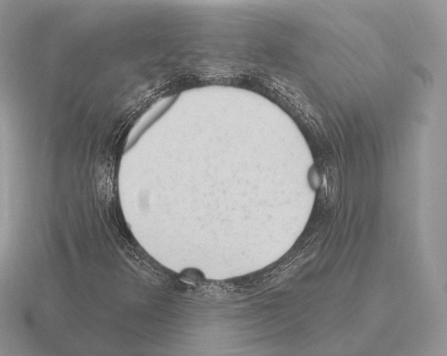 X0000115381348200912151431