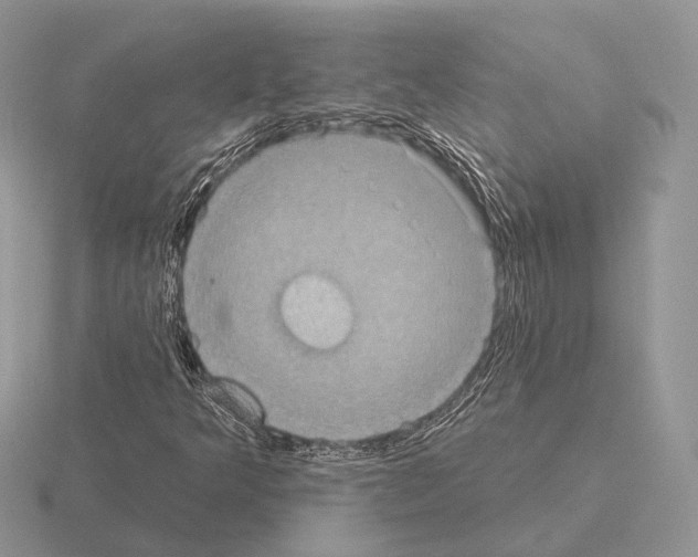 X0000115381349200912151431