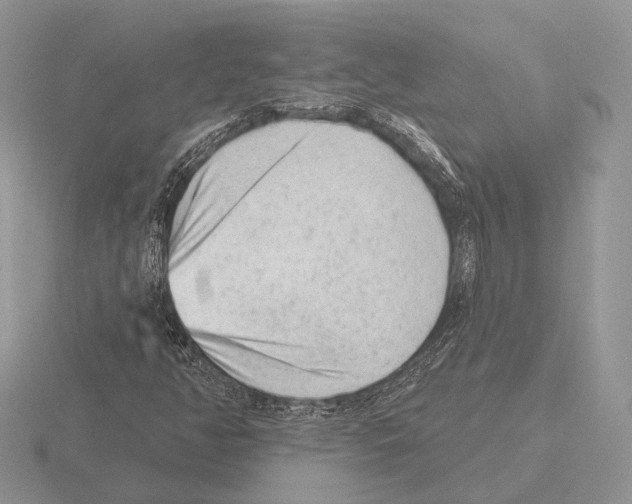 X0000115381350200912151431