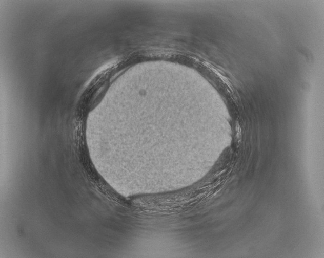 X0000115381351200912151431